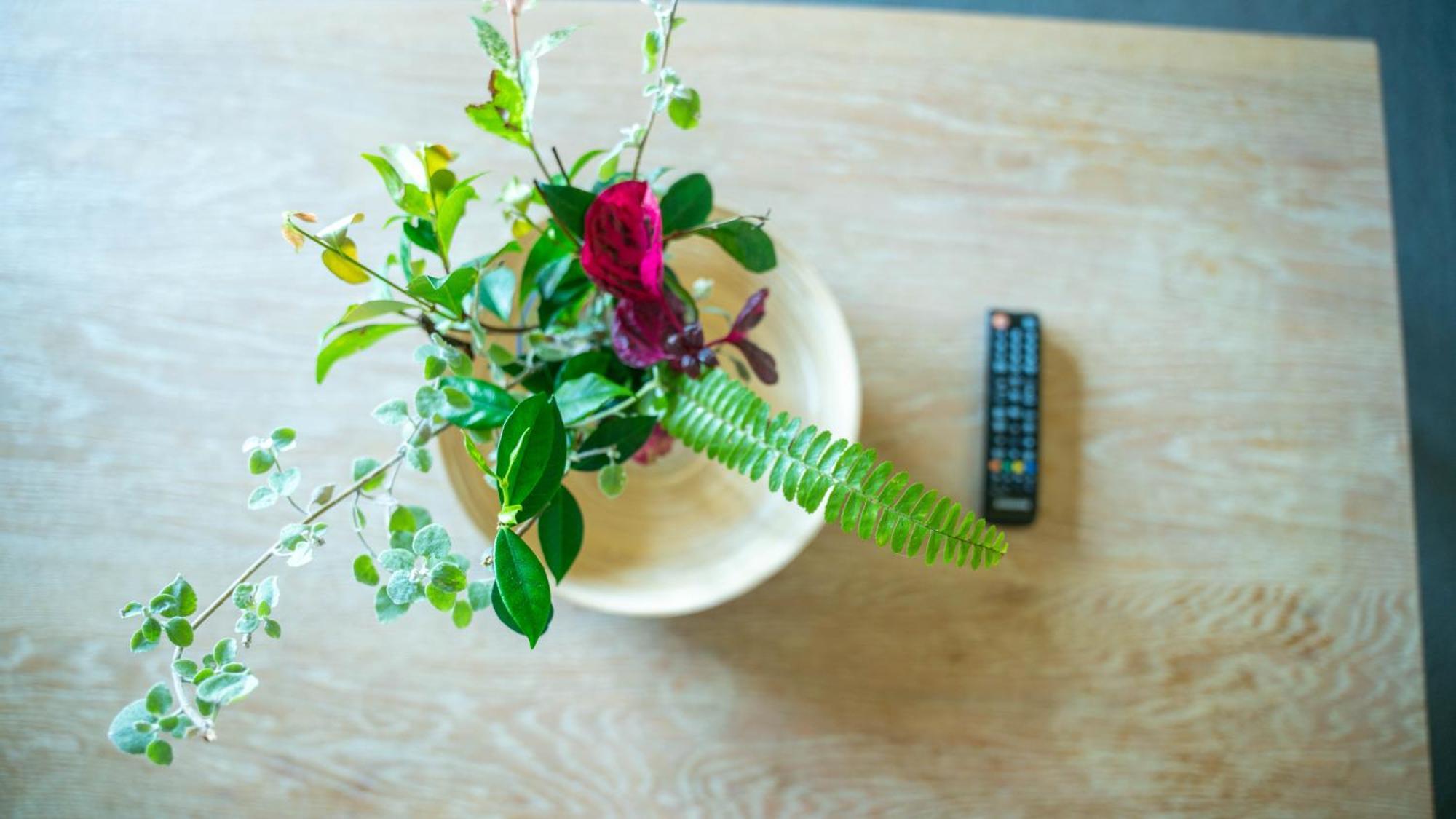 Bellevue Boutique Hotel 키아마 외부 사진